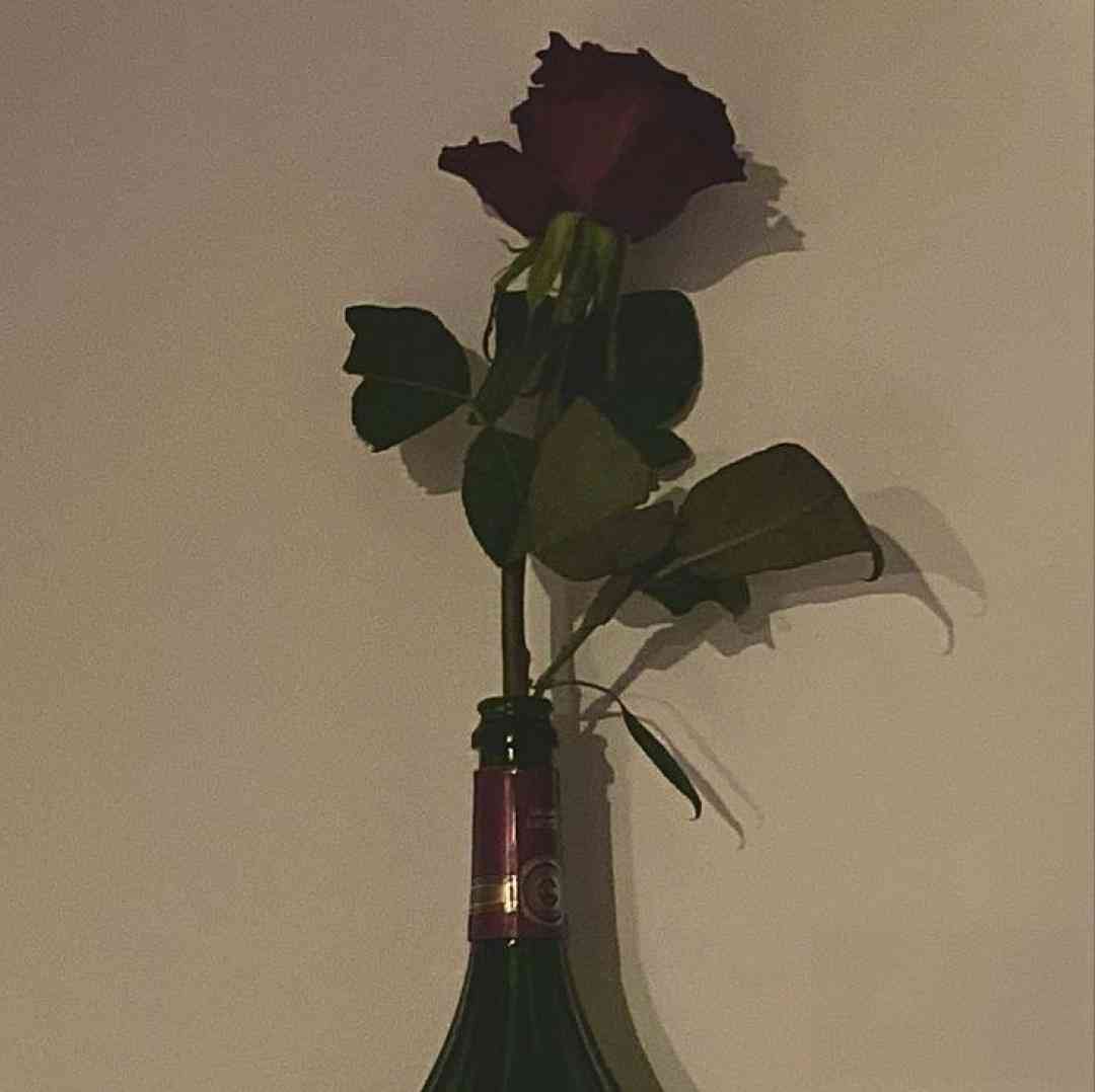 من میرم پیشی میشم تو میری هاپو میشی