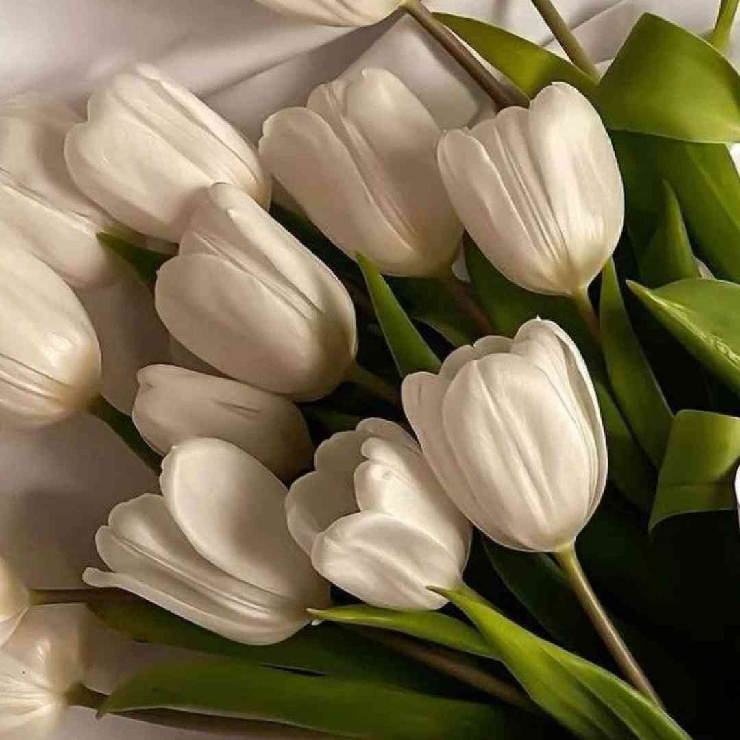  بین ما فوق العاده بود همه چی رک و ساده بود