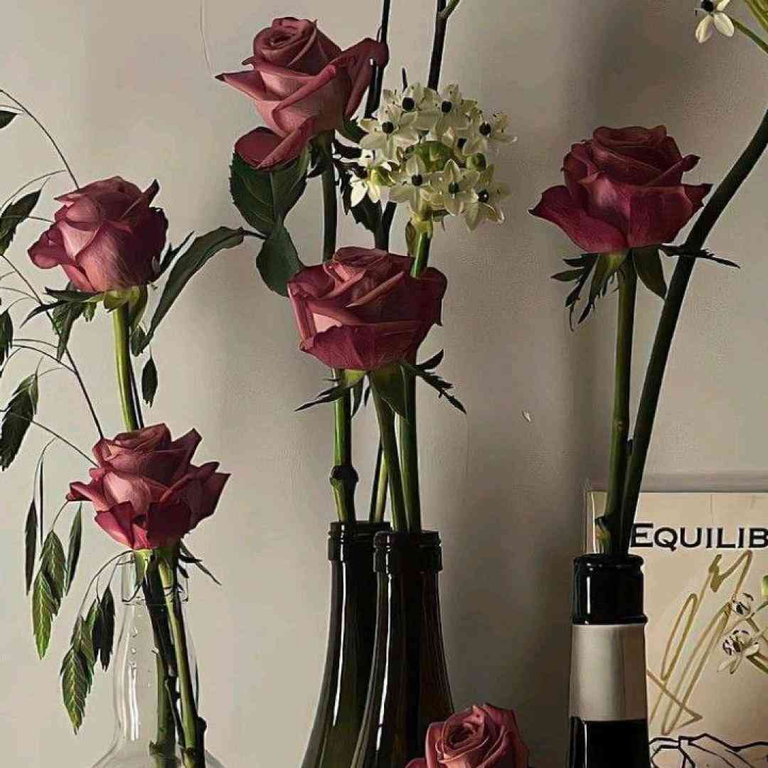 الف میگم ابروت کمونه با صدای زن ترند اینستایی