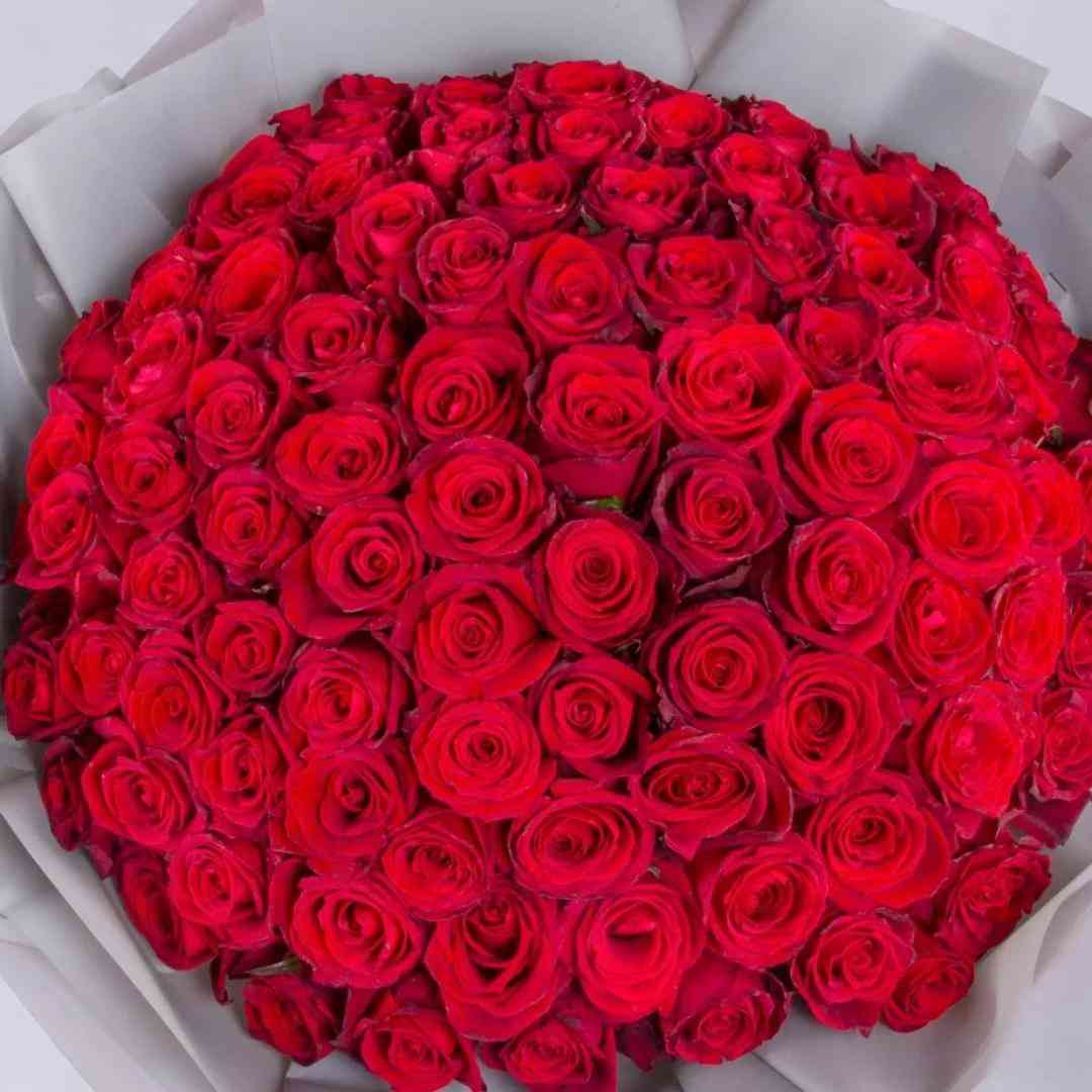  بسه زندگی تکراری هی دژاووییم انگاری میخوام