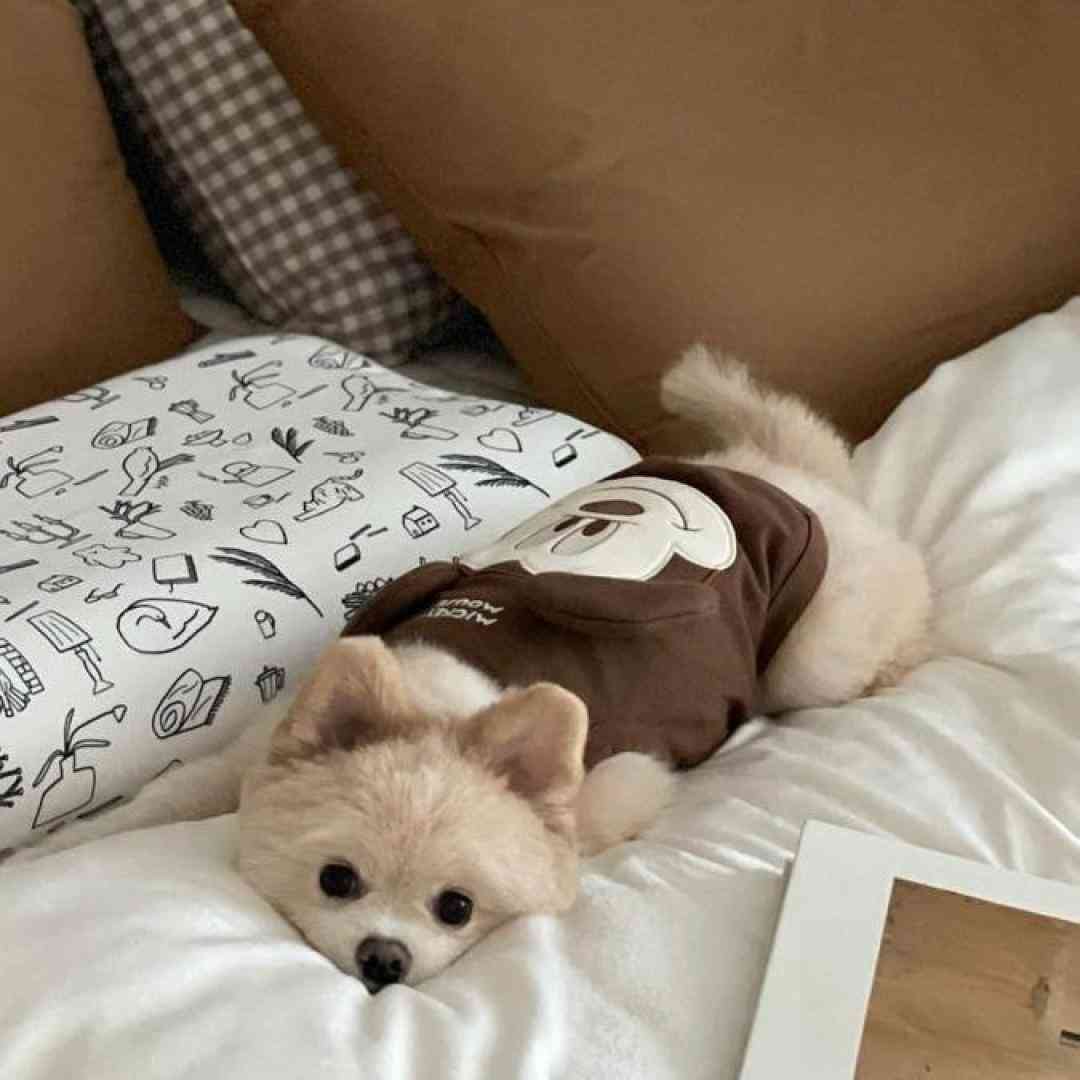 آسمون برا ماه تابستون شب