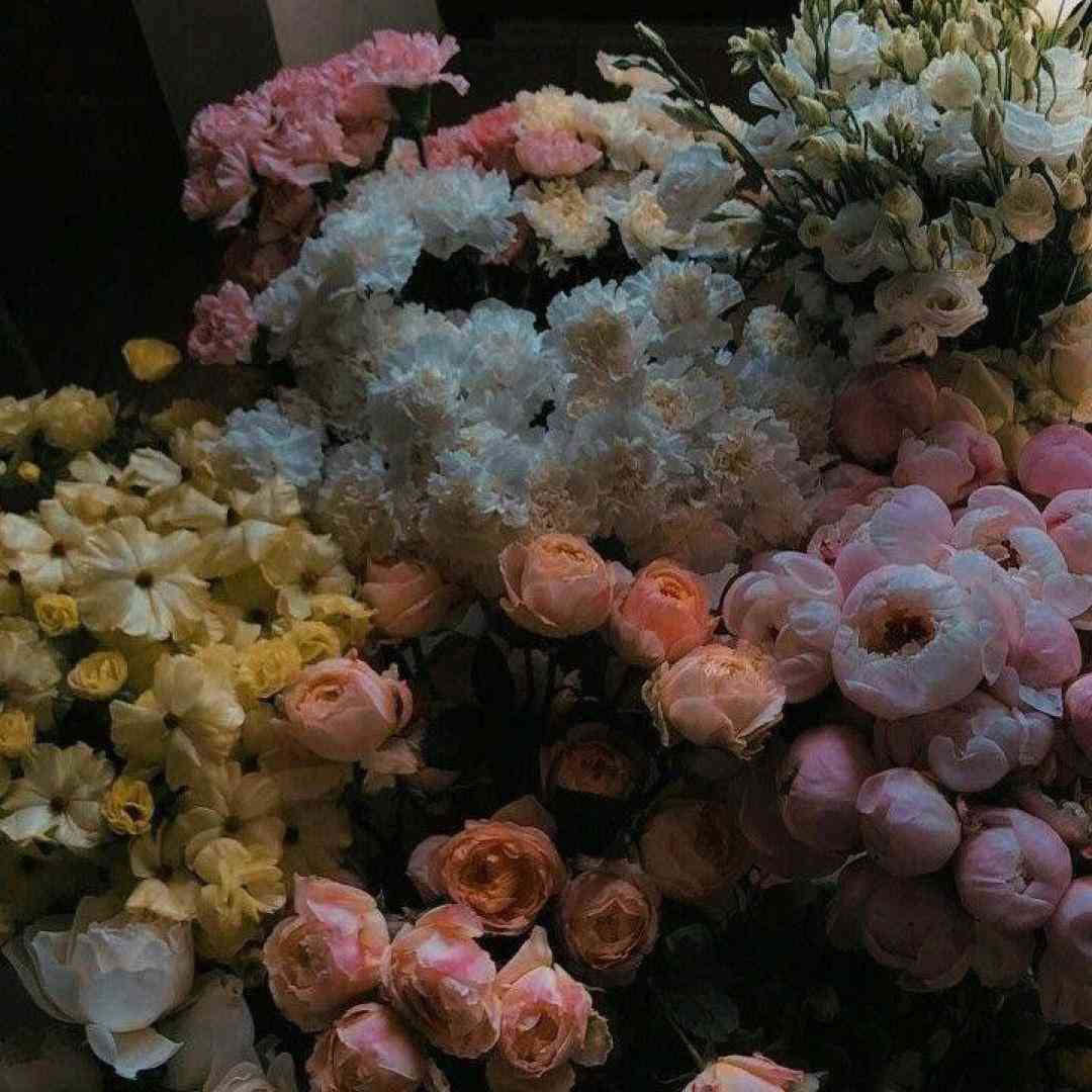 فدای سرت اگه گریونه چشمام فدای سرت اگه دلمو شکستی