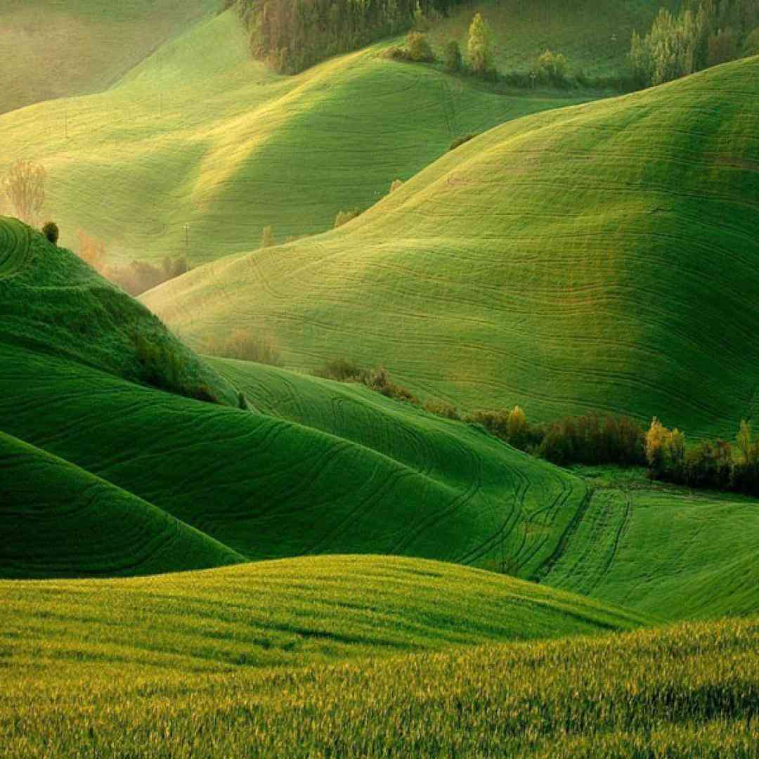  بد حال خیابونا غمگینه مث سوژ گیتار