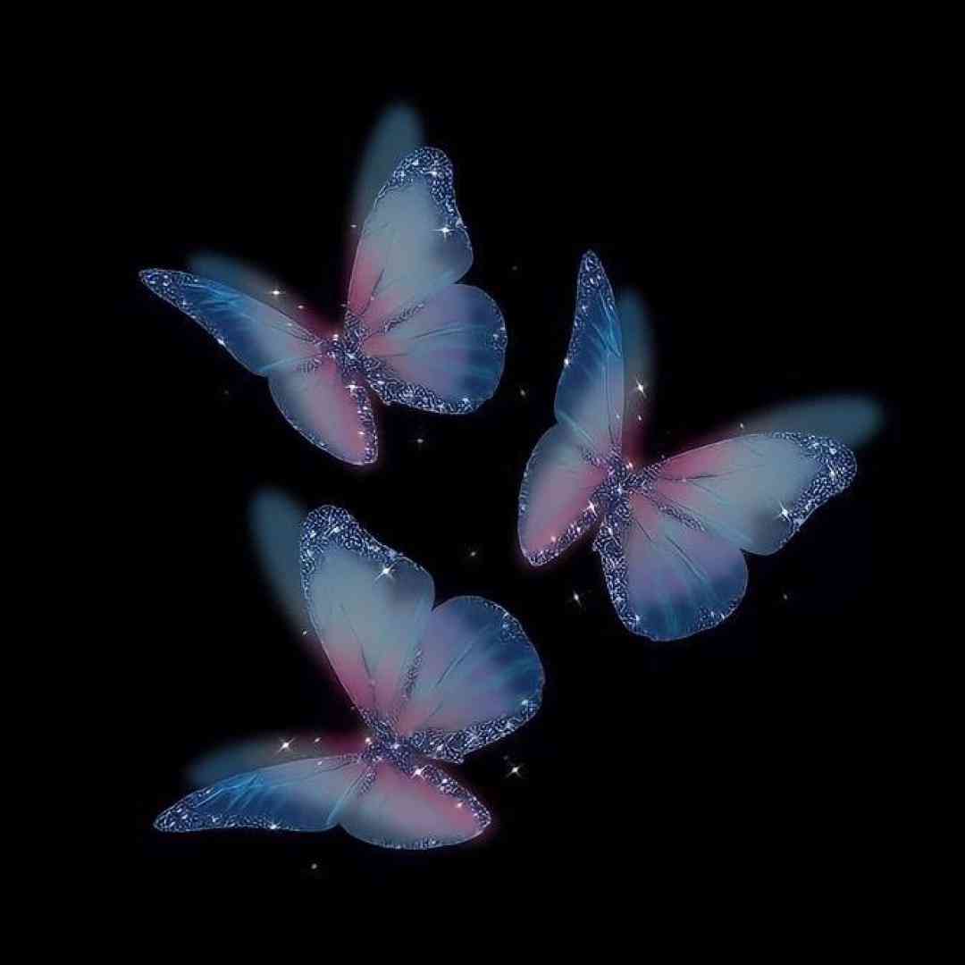  صدام میگیره از حرص خارج میشم از دسترس