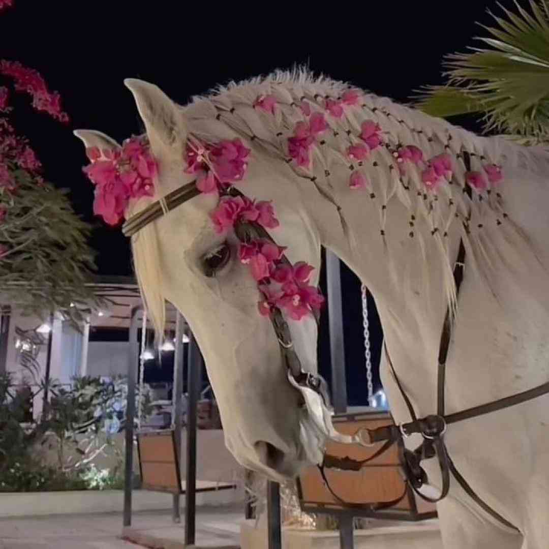 بزن قدش برو بعدش