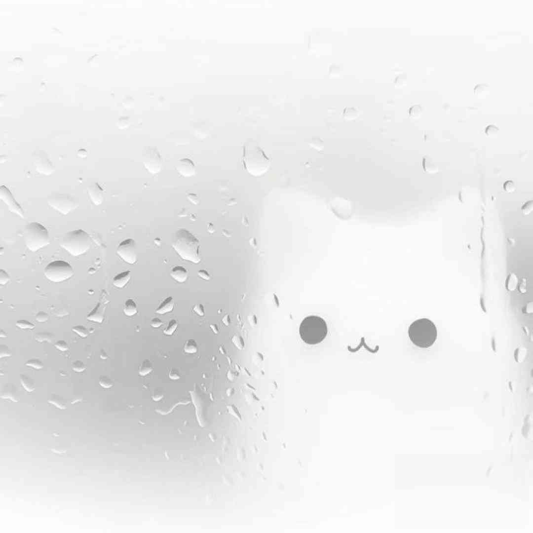 وقتی نیستی خونمون با من غریبی میکنه