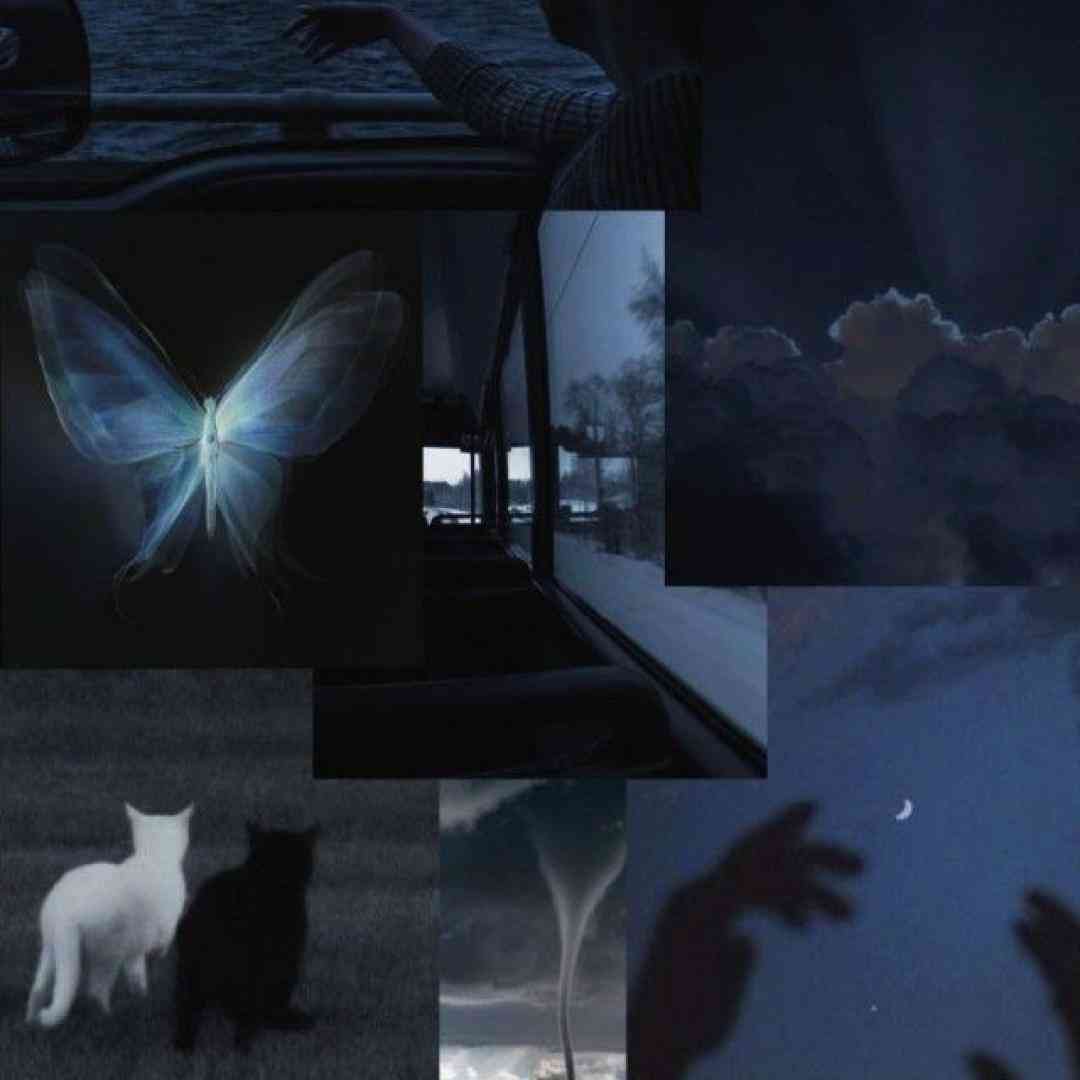 مگه دنیا چقده که نمیخوابه