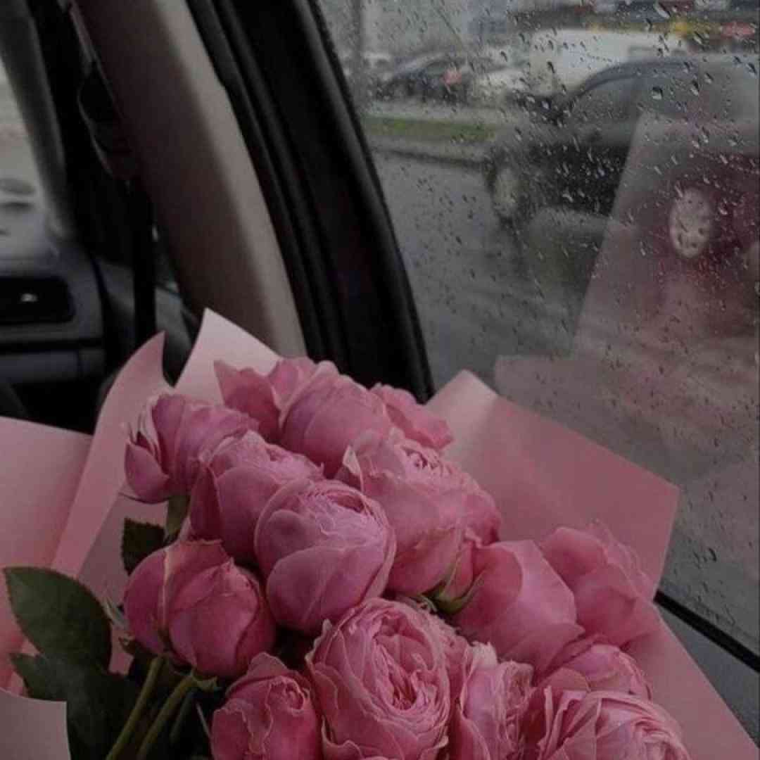 دیر میفهمی زندگی نکردی