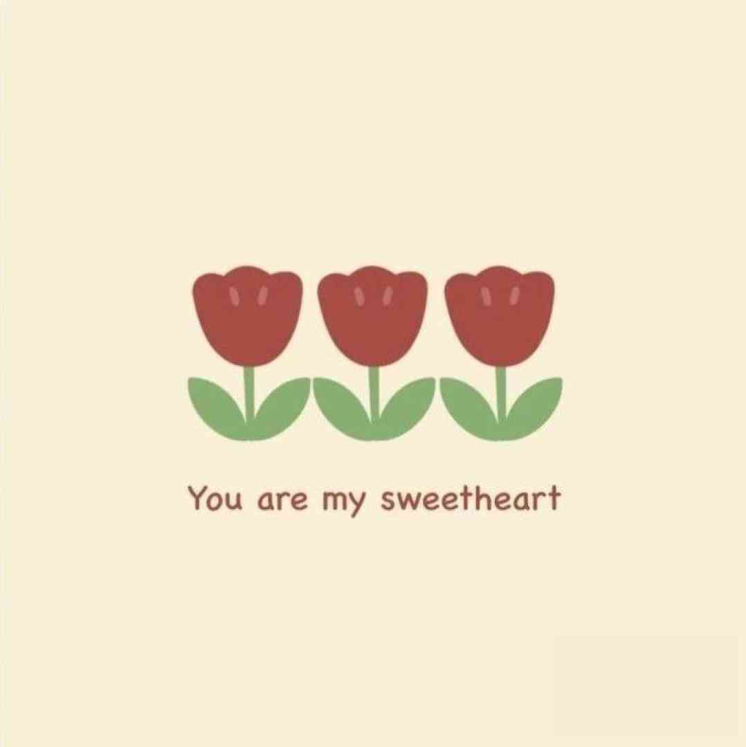  رفتی و رفتی و این دل من