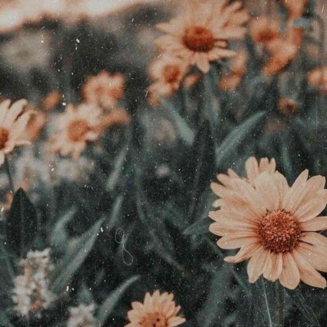 اسم منه دیه نیار با صدای باب اسفنجی