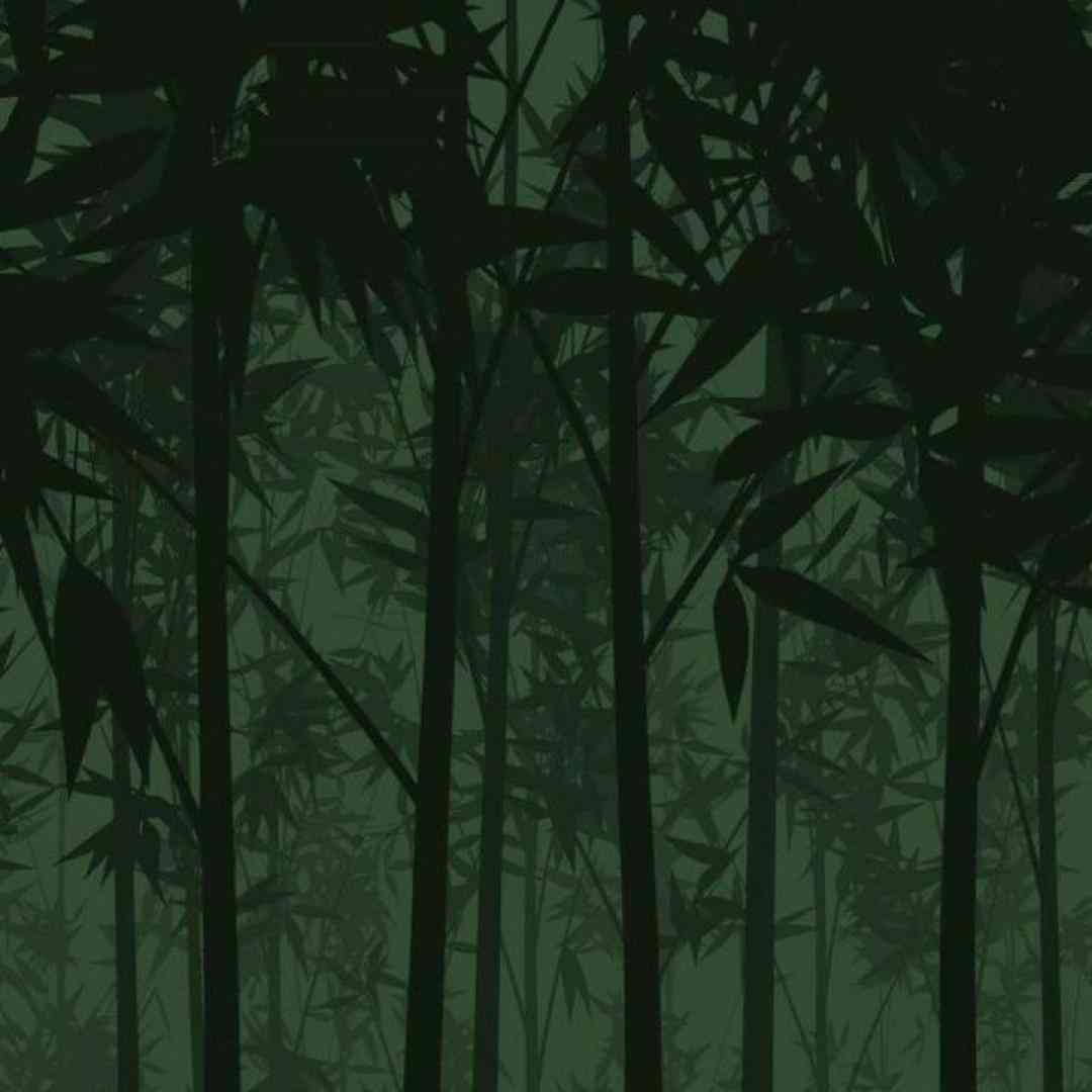 نذار کم شم من از آینده ی تو