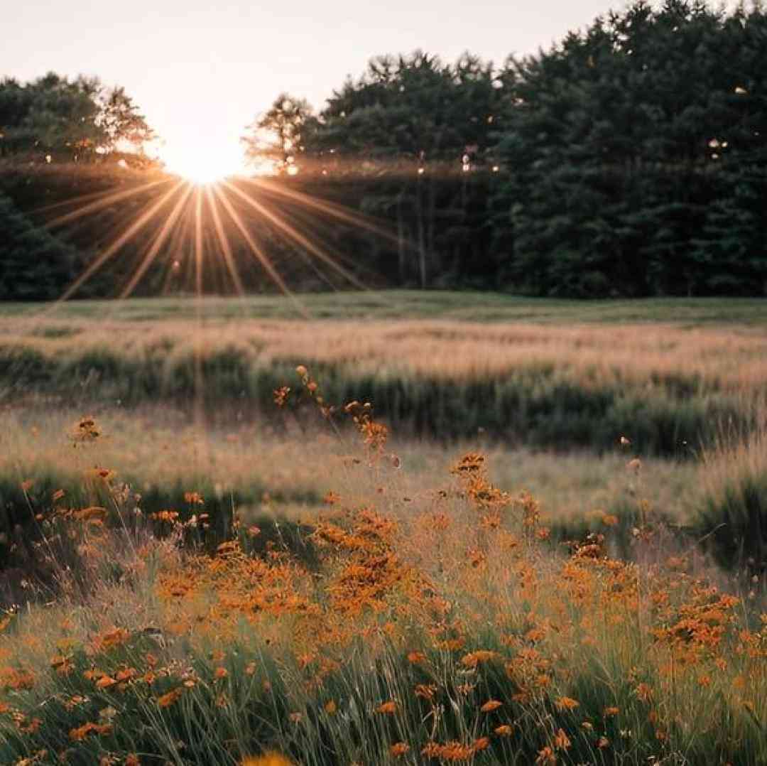  باز ای الهه ناز با دل من بساز