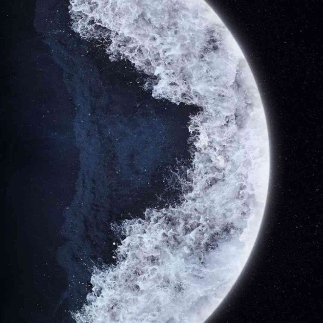  تو خونه سبد سبد گلهای سرخ و میخک