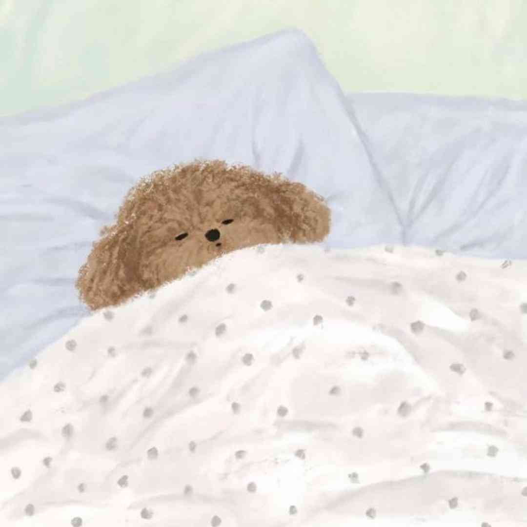  میمونیم با هم تا ته سامر ته سامر