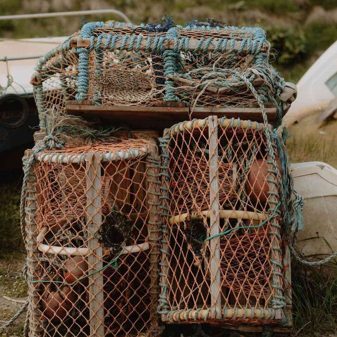  بیا که بریم کوه به کوه خانه شیرین گل کوکو