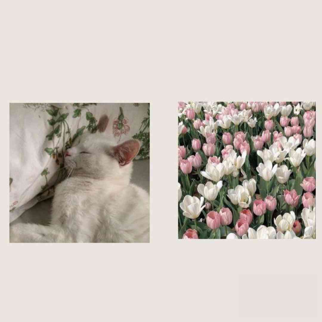 ما که با هم دیگه تعارف نداریم داریم نه