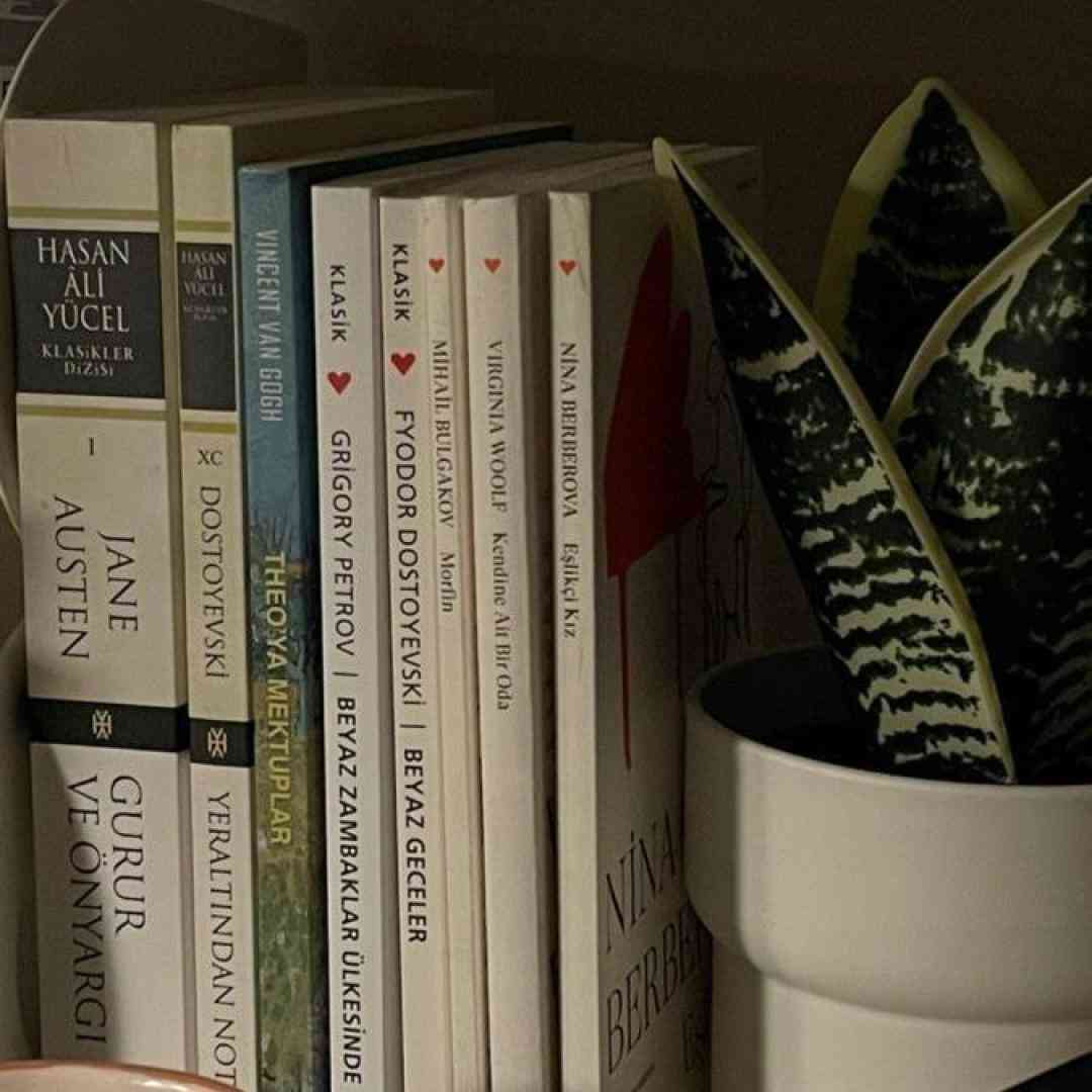 یه روز یه قاصدک تو هوا میزد پرسه