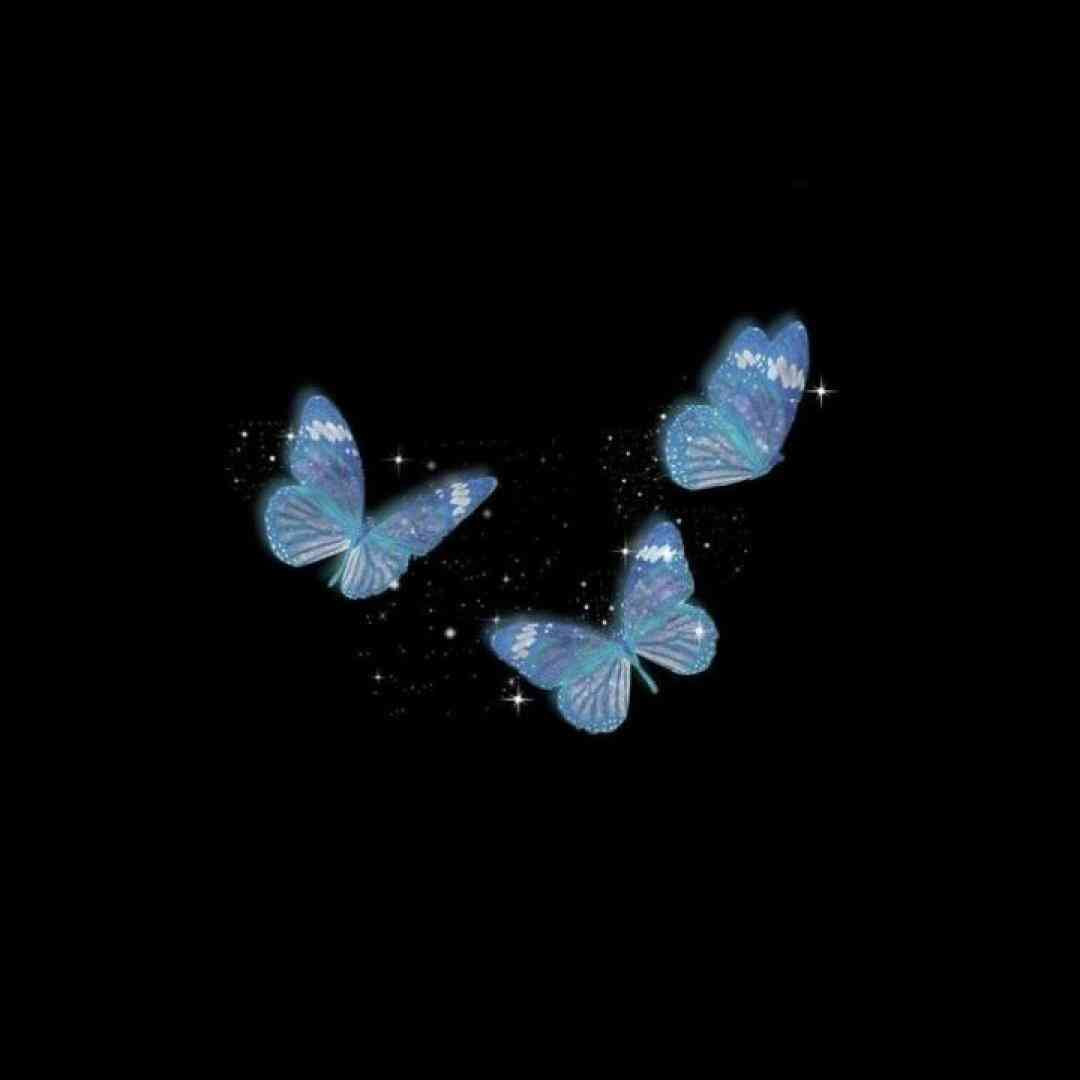 راستی چیشد چجوری شد