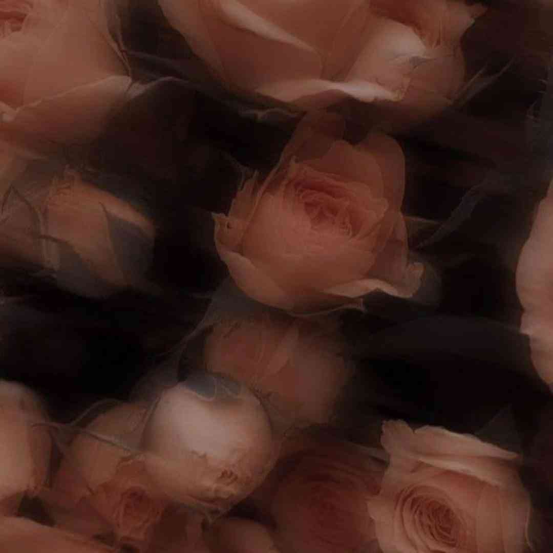 همه بهم میگن نقاب بزار