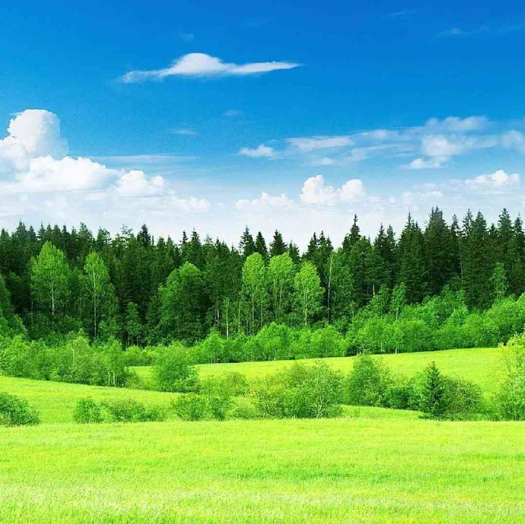  ساقی و ساغر و میخانه دگر ما را بس