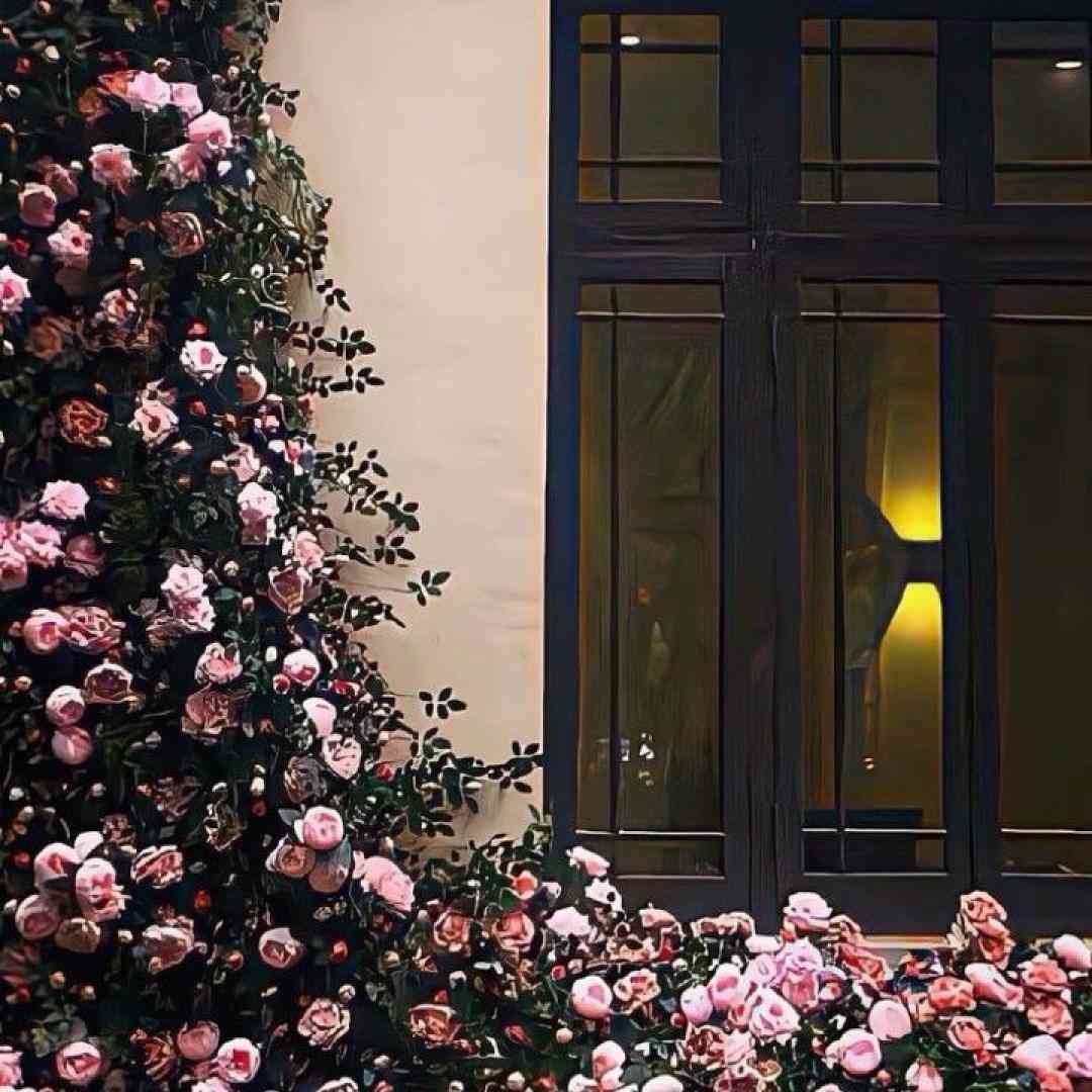 دلتنگ که نمیشه دل دریا داری هوش مصنوعی