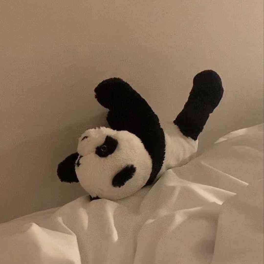  ایران تا چین مست دیدنت پخش شده فیلم رقصیدنت