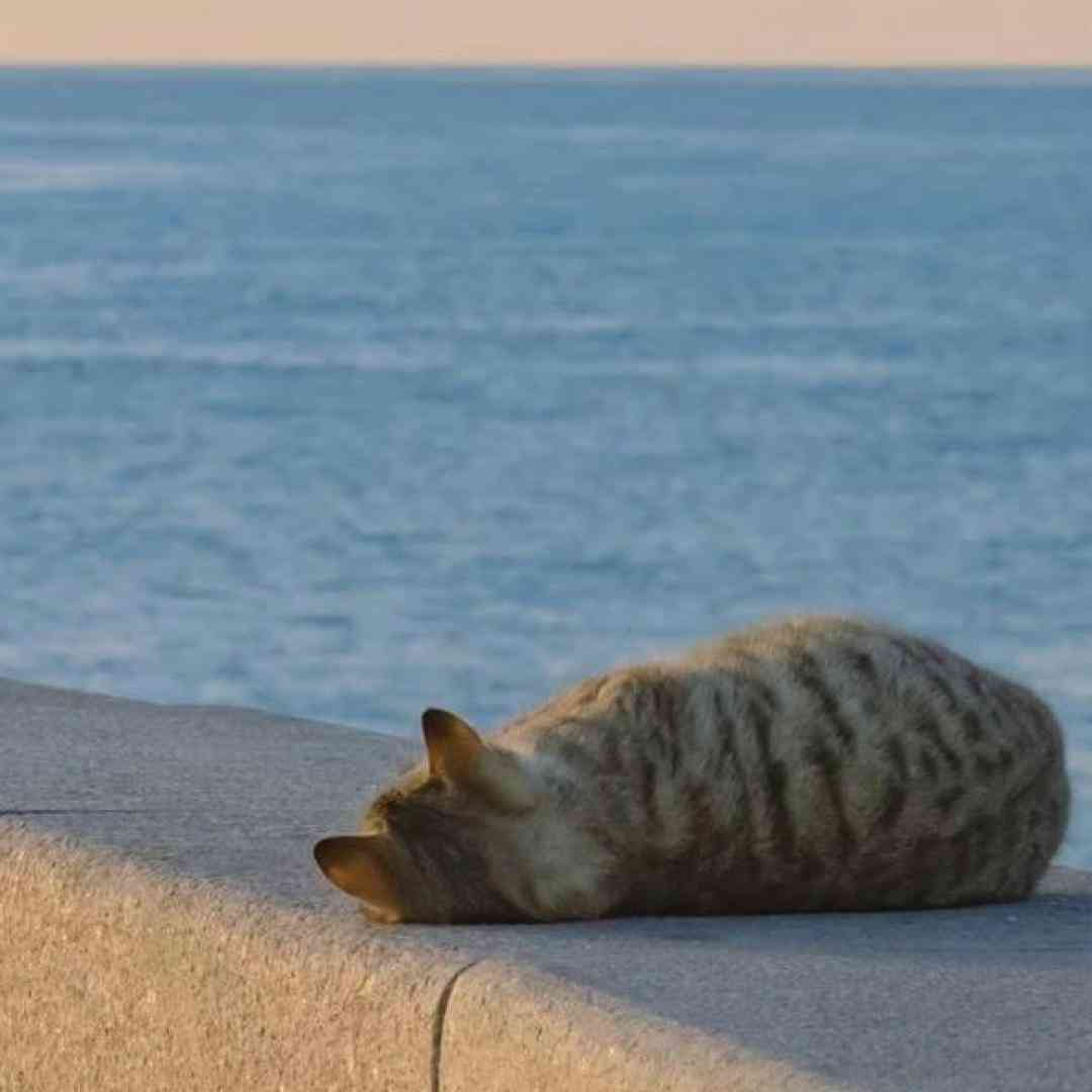  لم بده برام رو صندلی نگات کنم