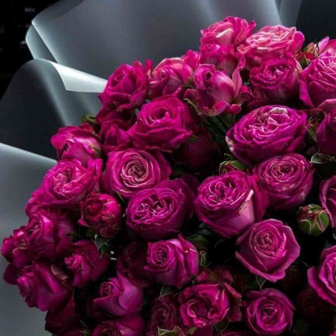 اون اگه دلش تنگ شد