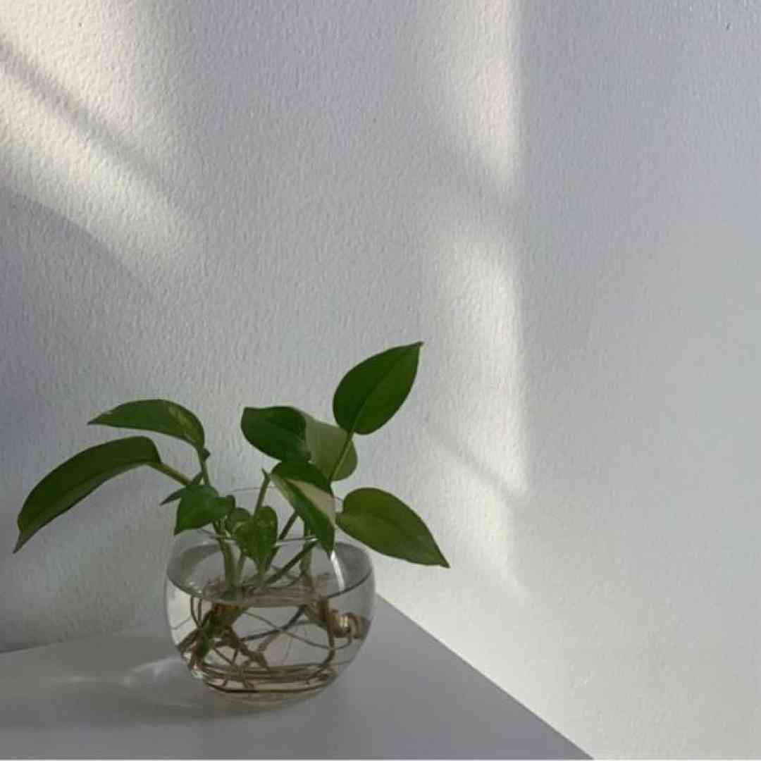  خسته از خستگیای این دل وا مونده