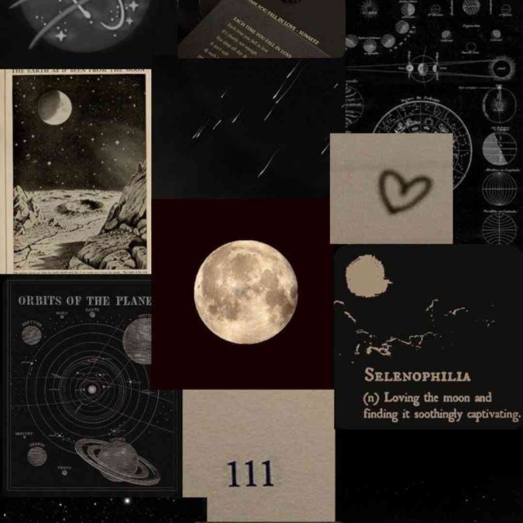  گل خشک توی گلدون بهمم میریزه