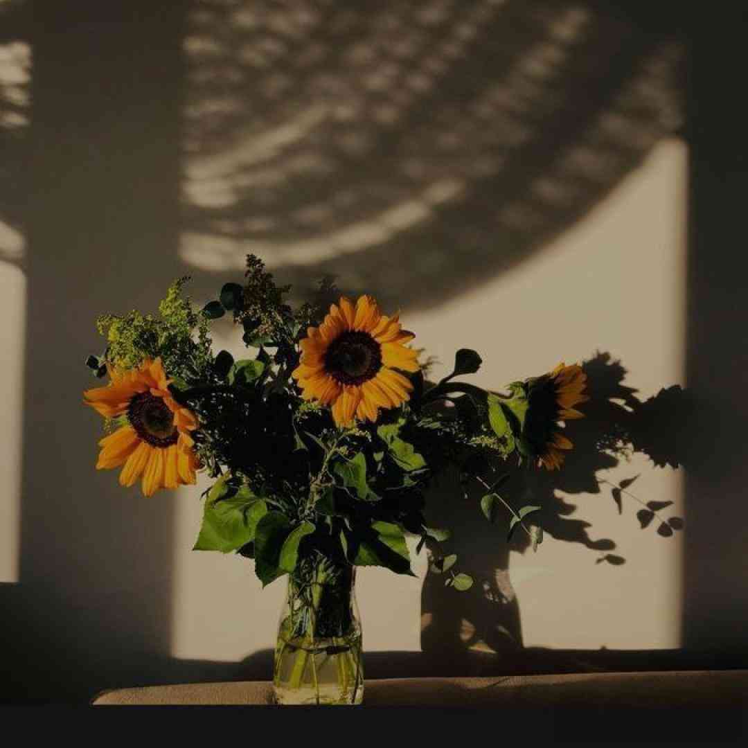  دیدی نموند دیدی چه رفت دیدی که آب شد