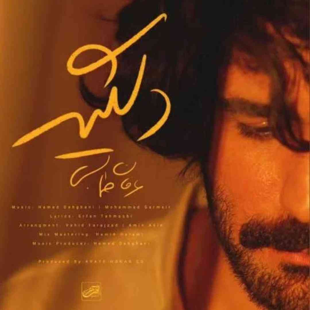 عرفان طهماسبی دلگیر