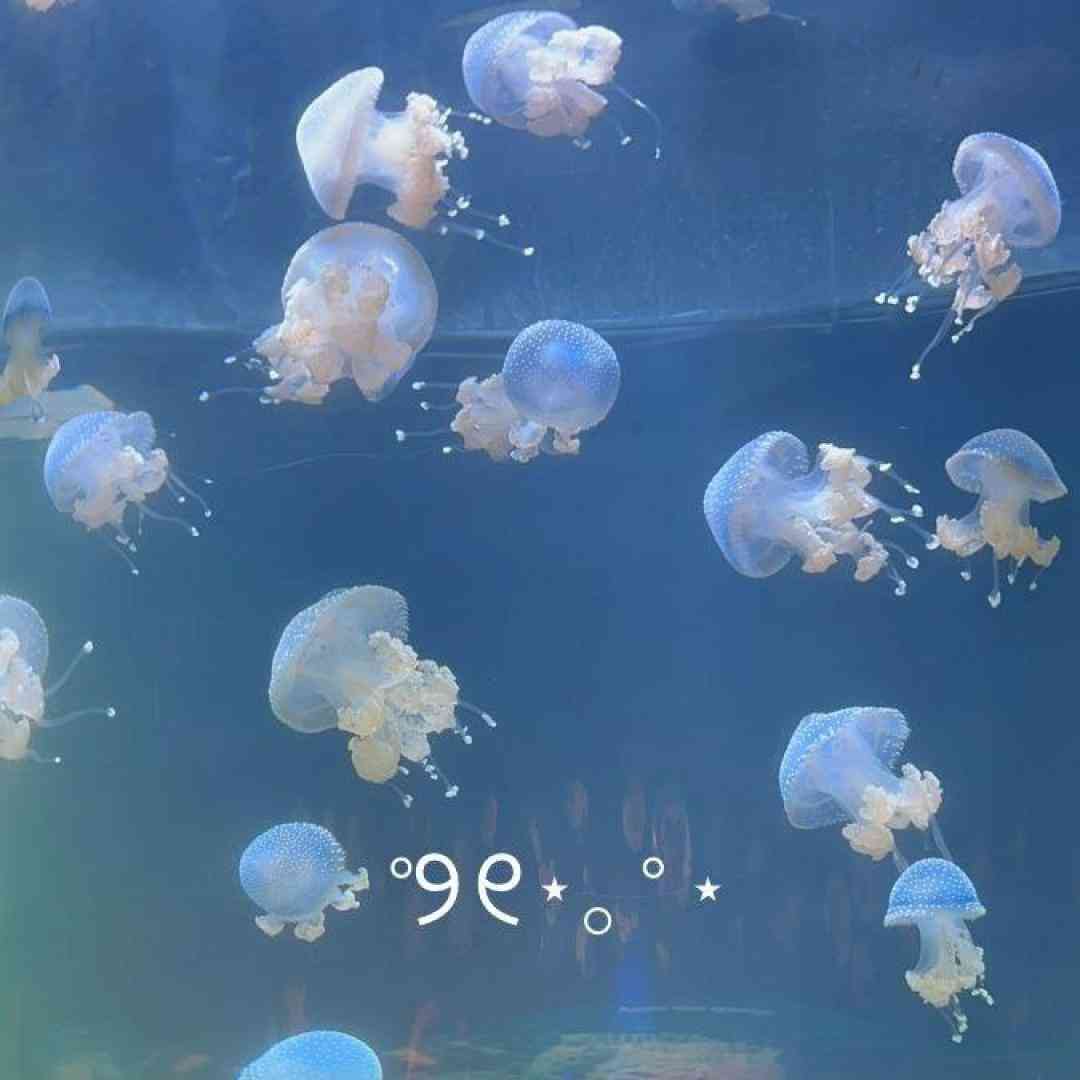  گفتم بهت گریه نکن من که هنوز دوست دارم