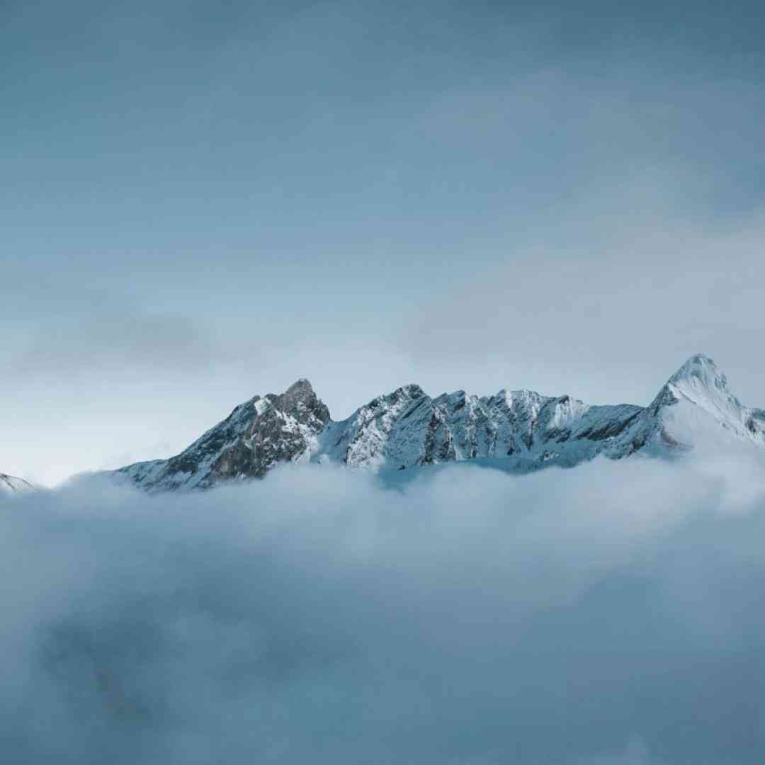 سبزه گلم سبزه گلم