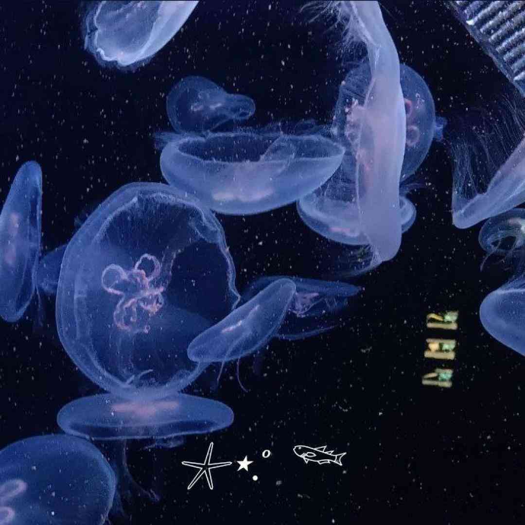  آخه تو عزیز ترینی بغضت نگیره