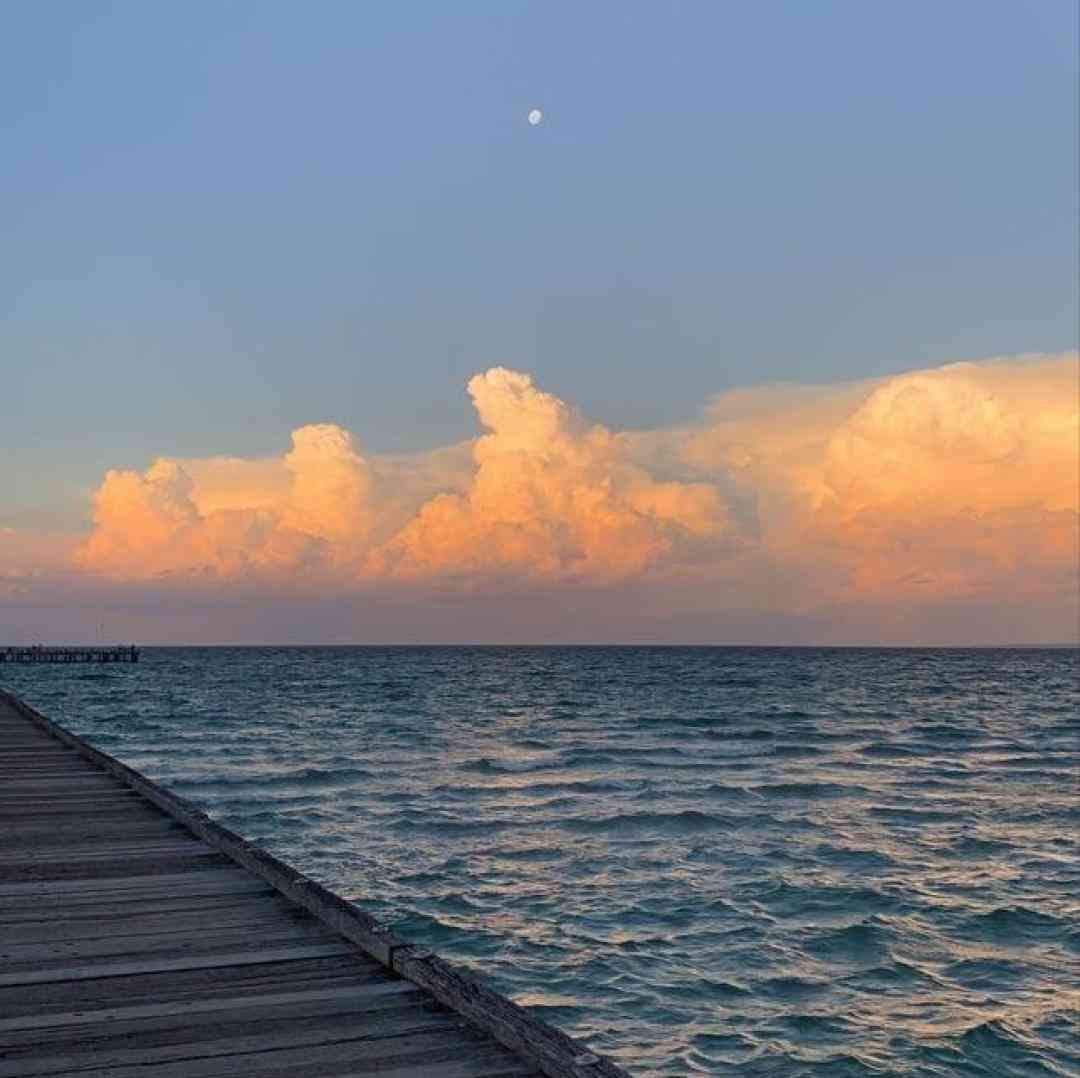 این همه خلاقیت بگو واسه چی