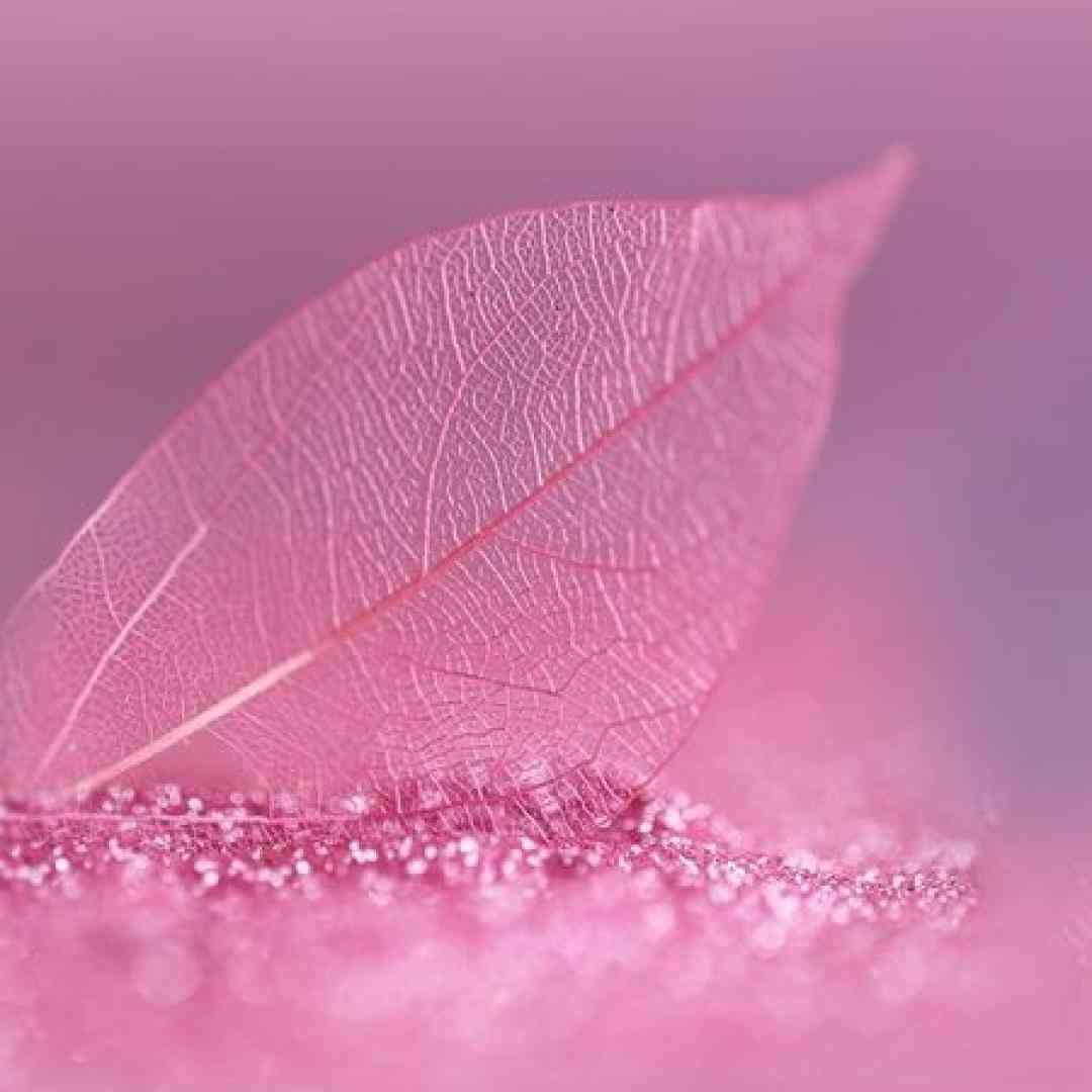 مورفینم شده عکسات