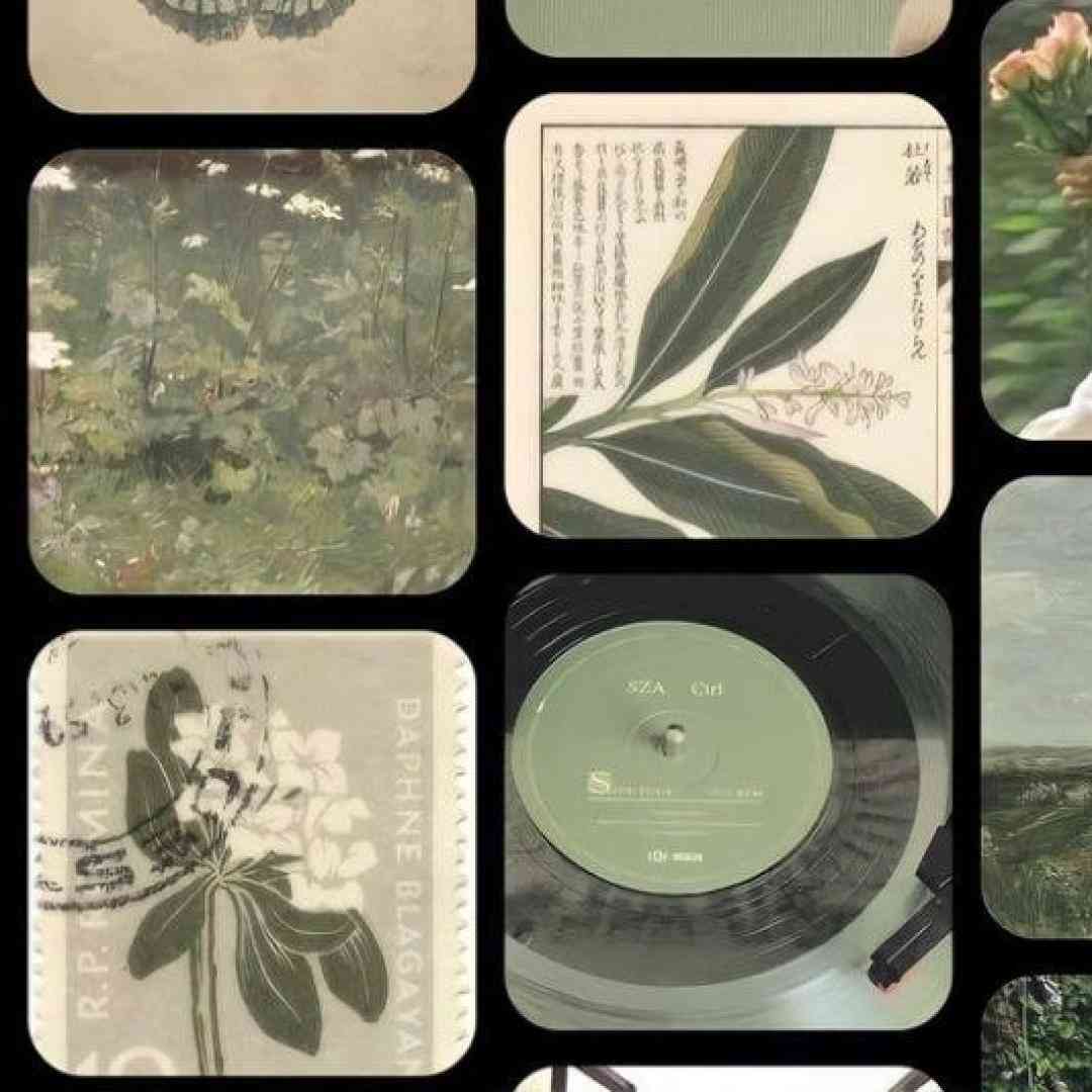 مشکات ته خاطر