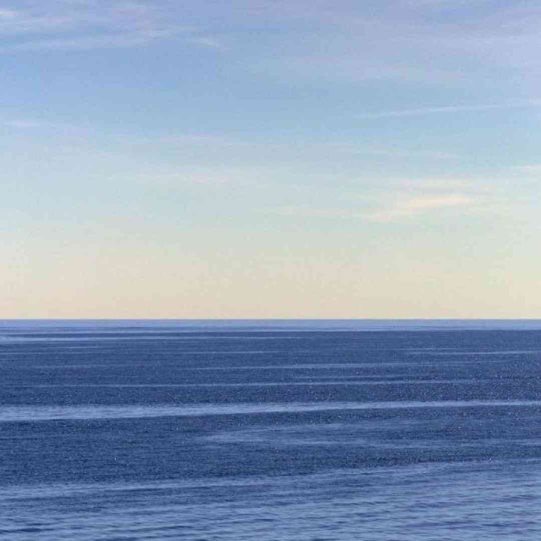  منجی شهر نیمه جان باشم آشیان پرندگان باشم با صدای زن