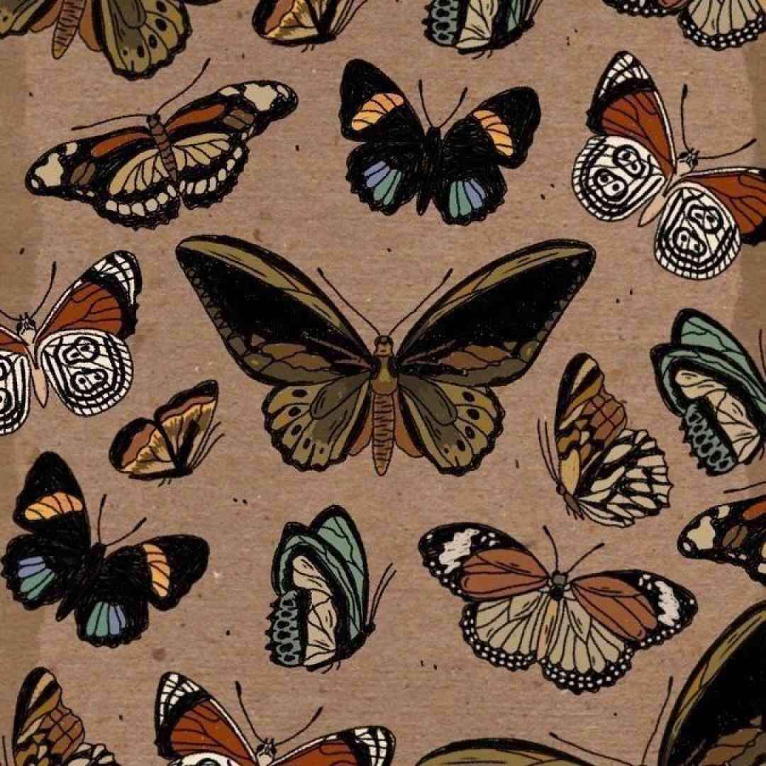 میخوام حرف بزنم رک تر بشی پیش خودت میگی