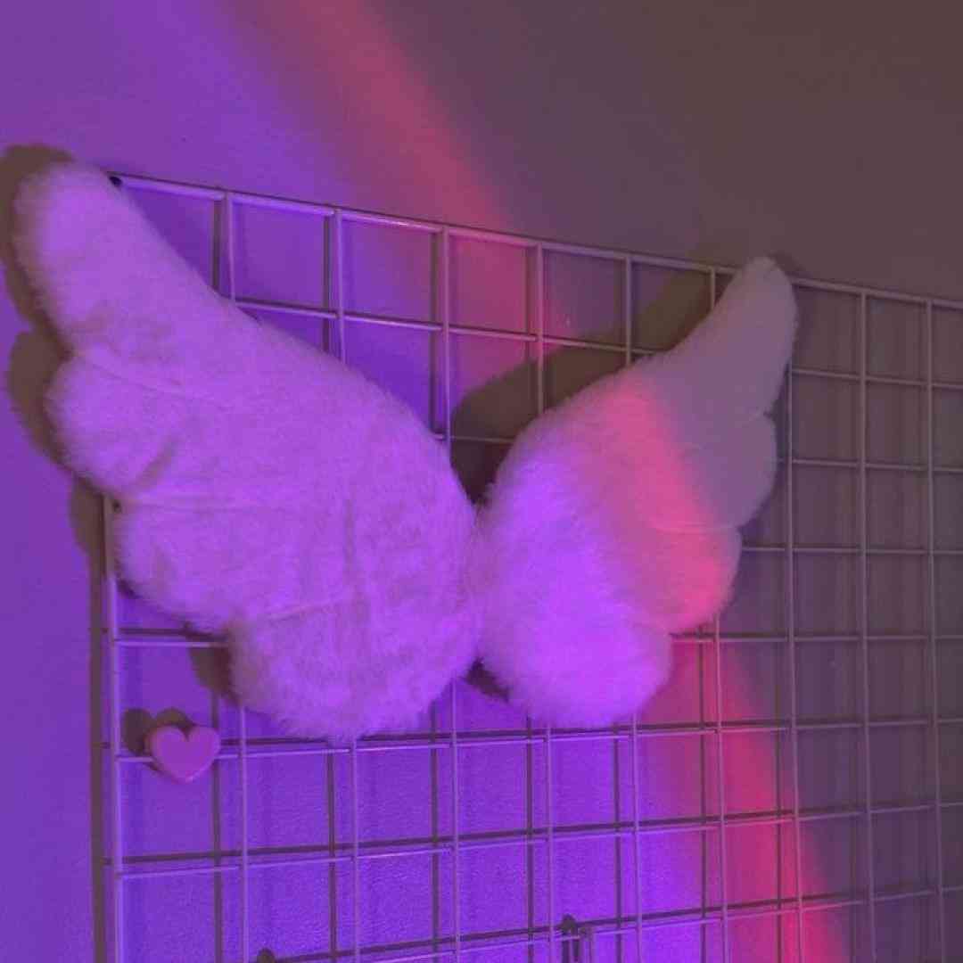 فکر نکنم هیچوقت برگردم خونه