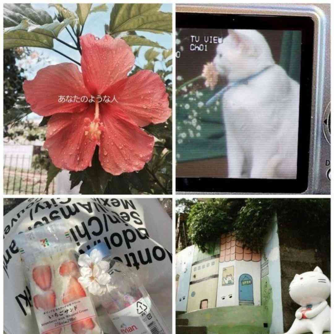 ای که بی تو خودمو تک و تنها میبینم