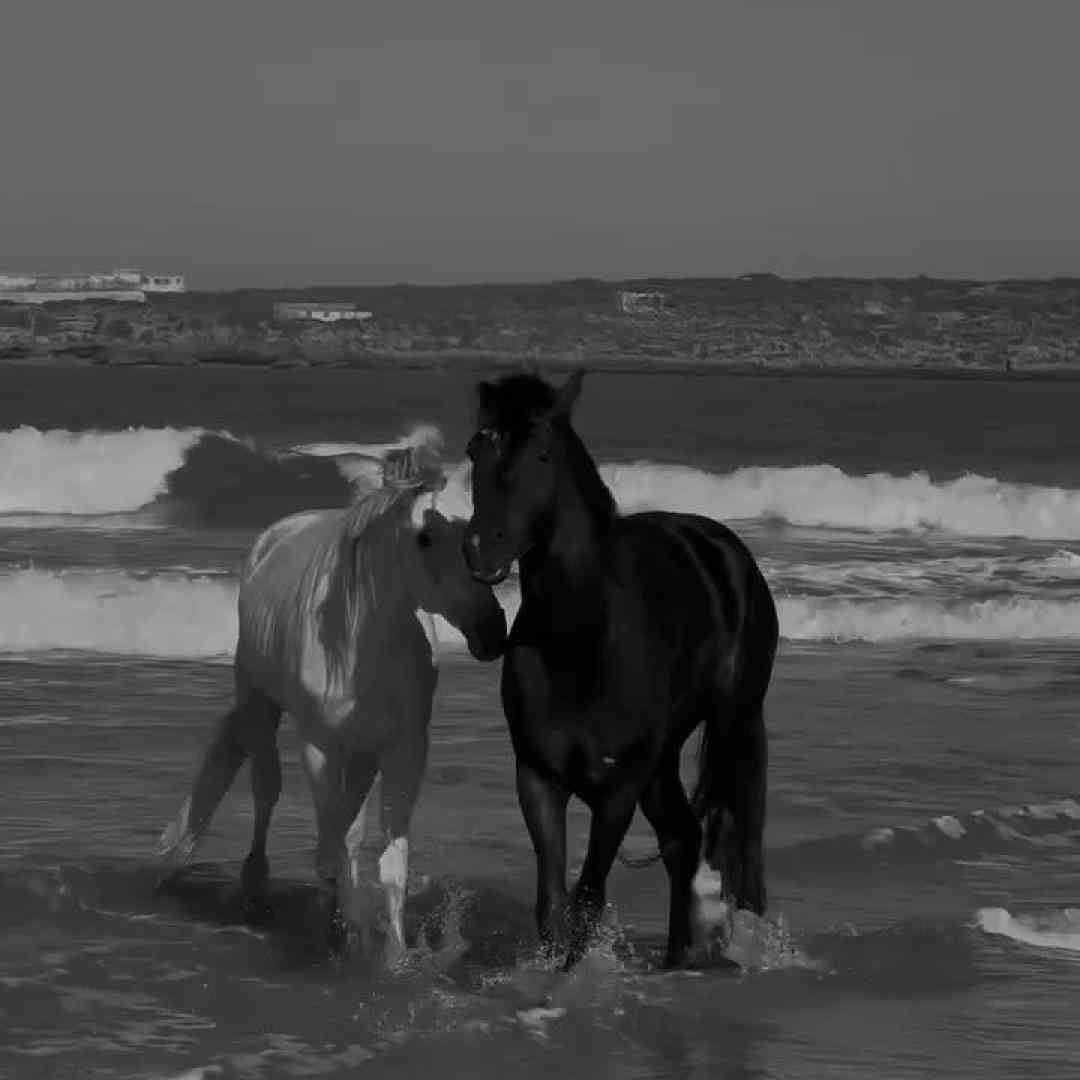 این آدم به آدم عادت نداره دور و برش