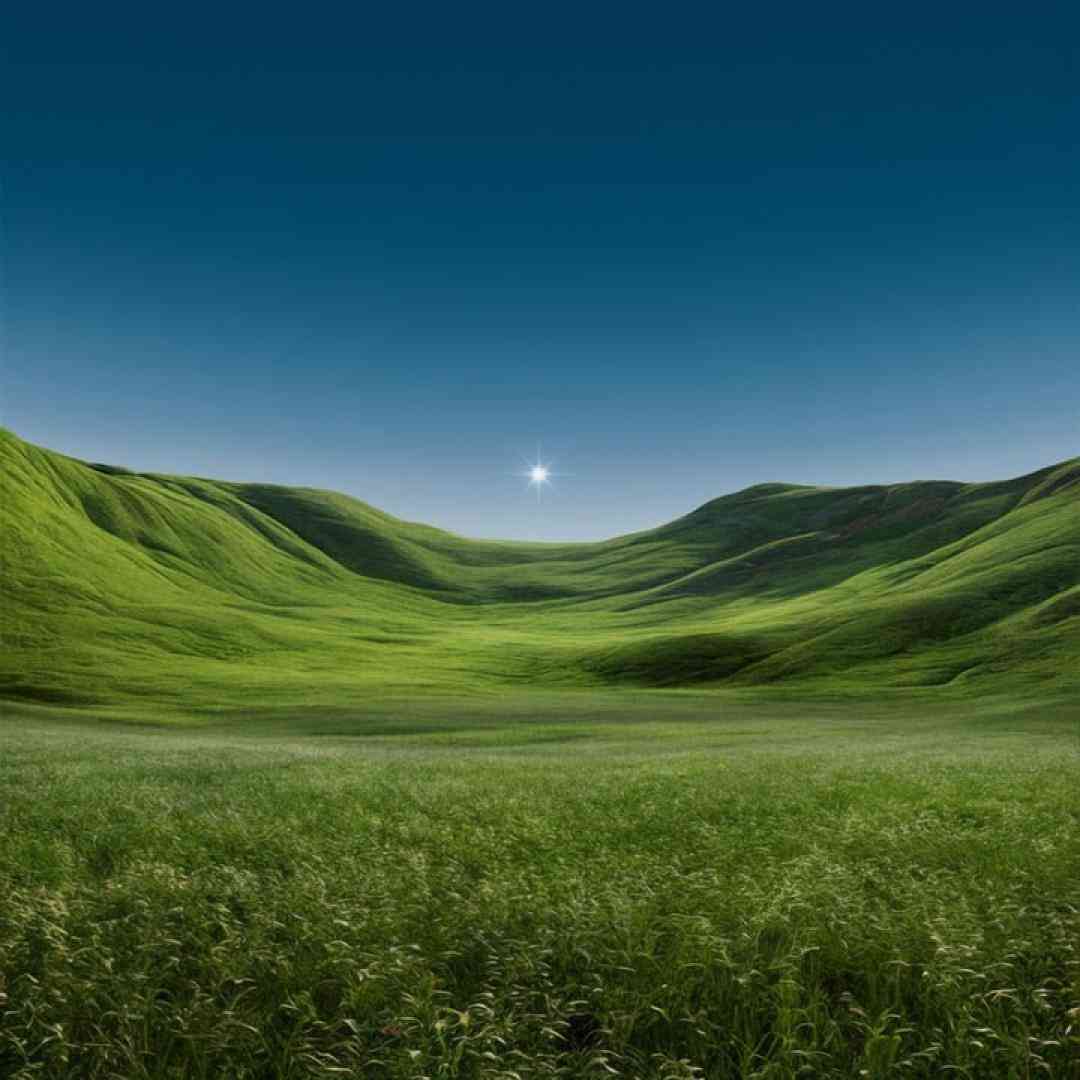  عزیز هم قسم مگر که مرگ من