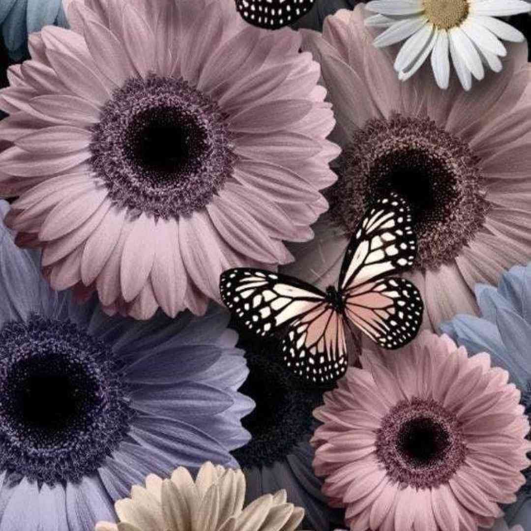 برای دلواپسی هات واسه سادگیت بمیره