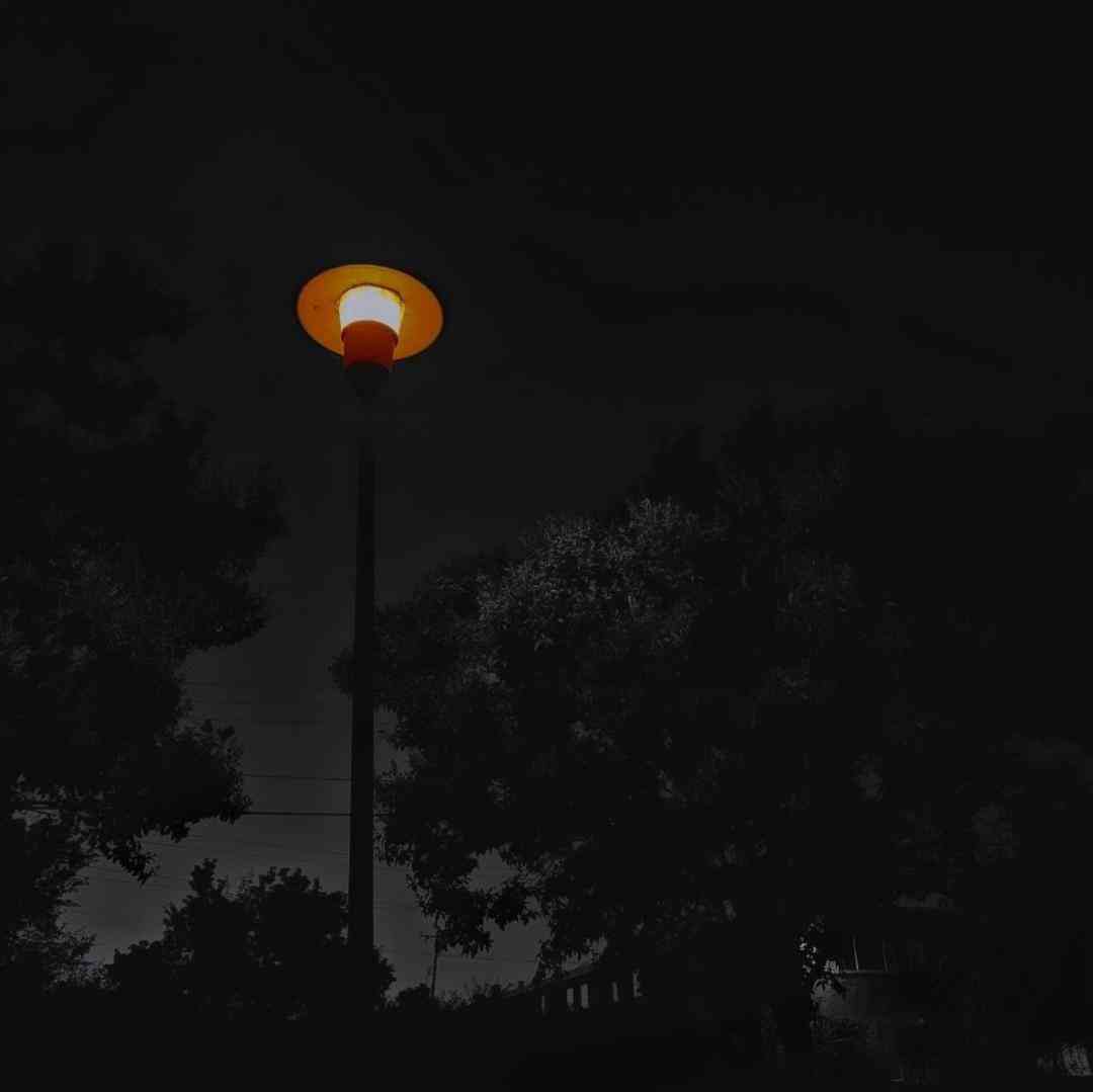 ماشالله سوپر مدلن پسرا هم رپر همه انگاری همه