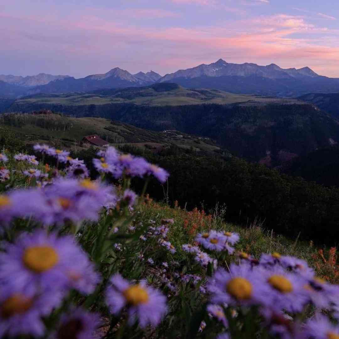  افتادم یه لیوان بده به من رفتنت به پای اون که