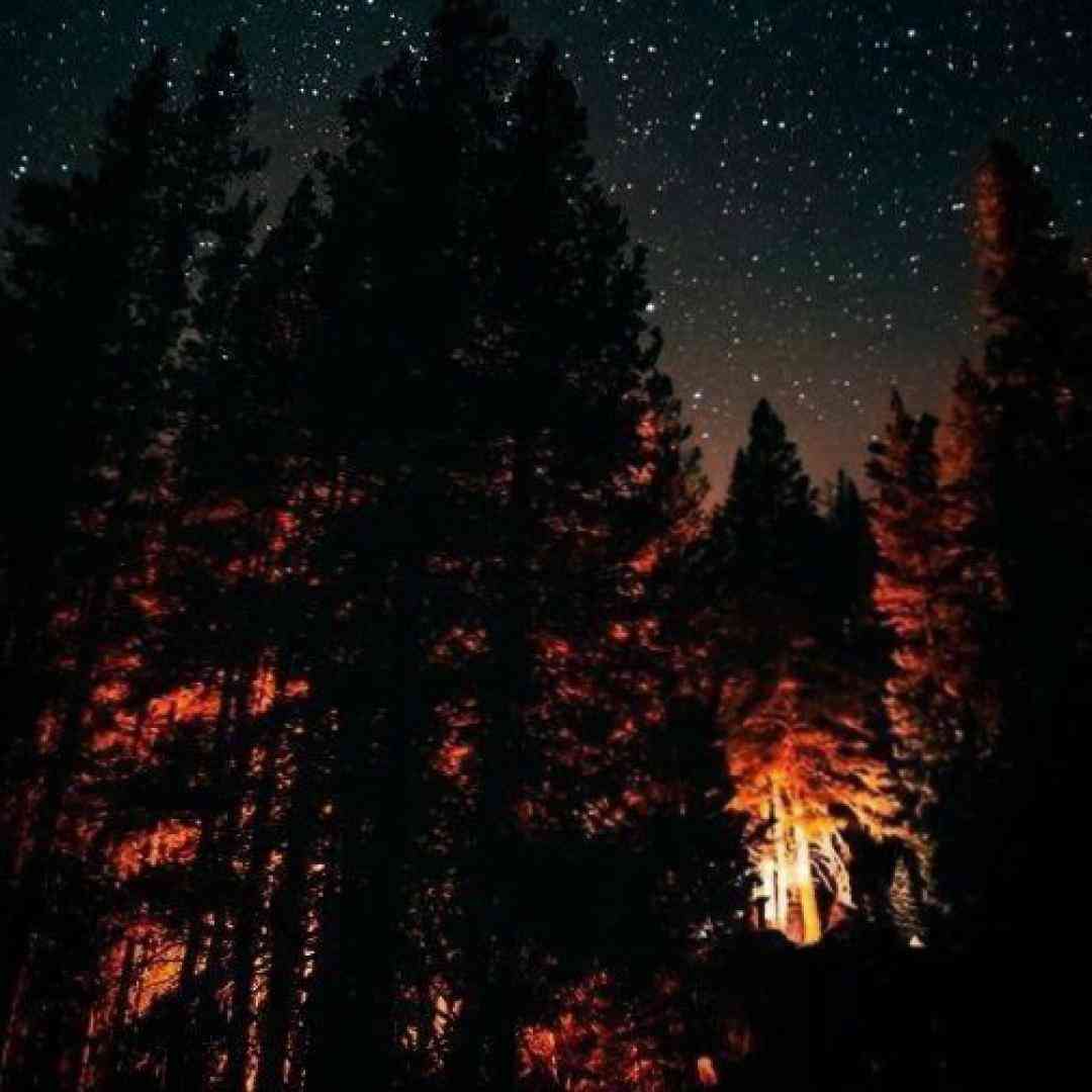  تو نت گوشیم نوشتم تو بودی قاتلم