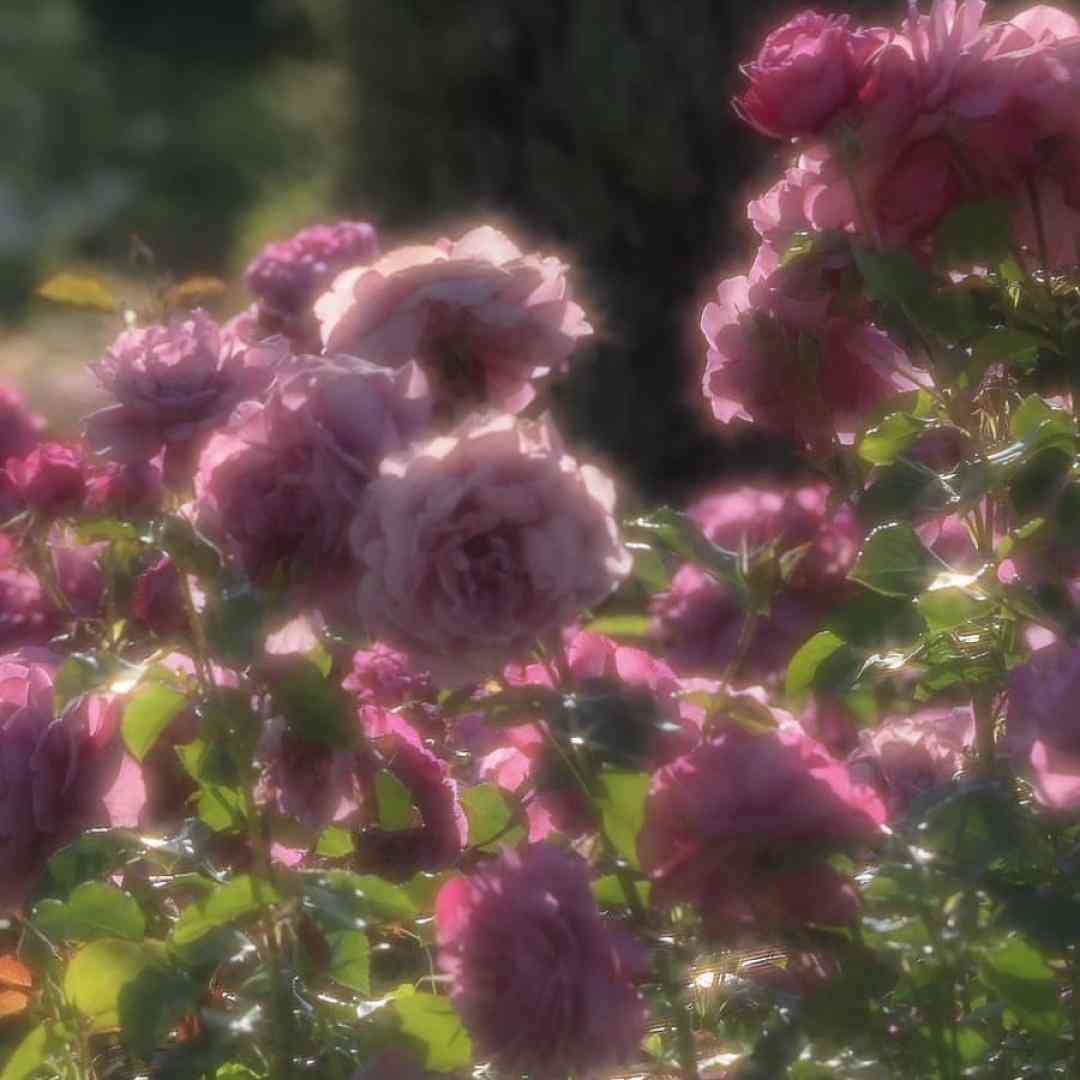 از سنگ شده چرا اون دلت نزار تنهایی