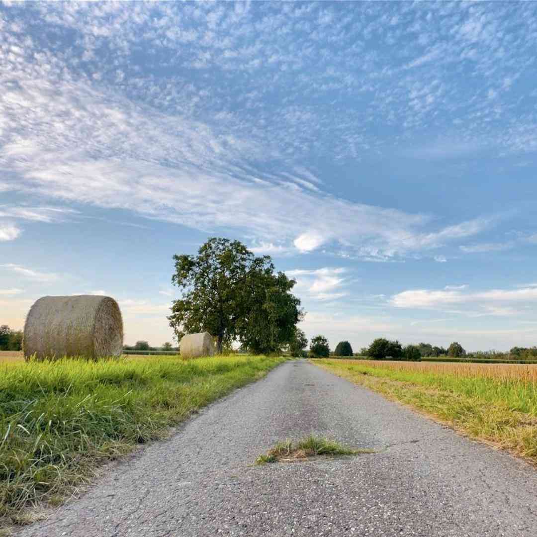  اصلا بگیر بکپ خواب ندارم بابا عاشقی کن